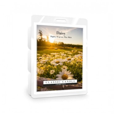 Daisy Classic Kerzenwachs