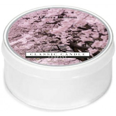 Daylight Cherry Blossom Kerze Klassische Kerze