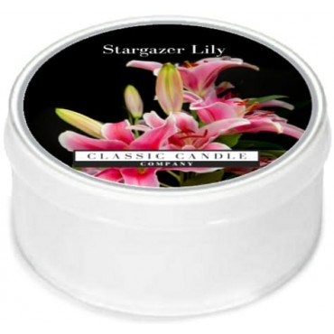Tageslicht Kerze Stargazer Lily Classic Kerze