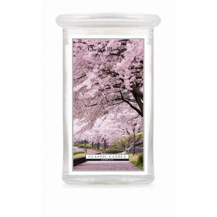 Große Kirschblüte Classic Kerze