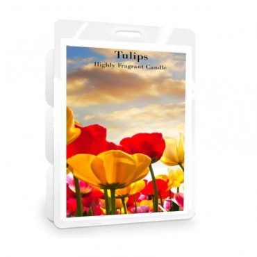 Tulpen Classic Kerzenwachs