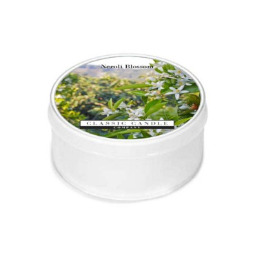 Daylight Neroli Blossom Kerze Klassische Kerze