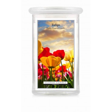 Große Tulpen Classic Kerze