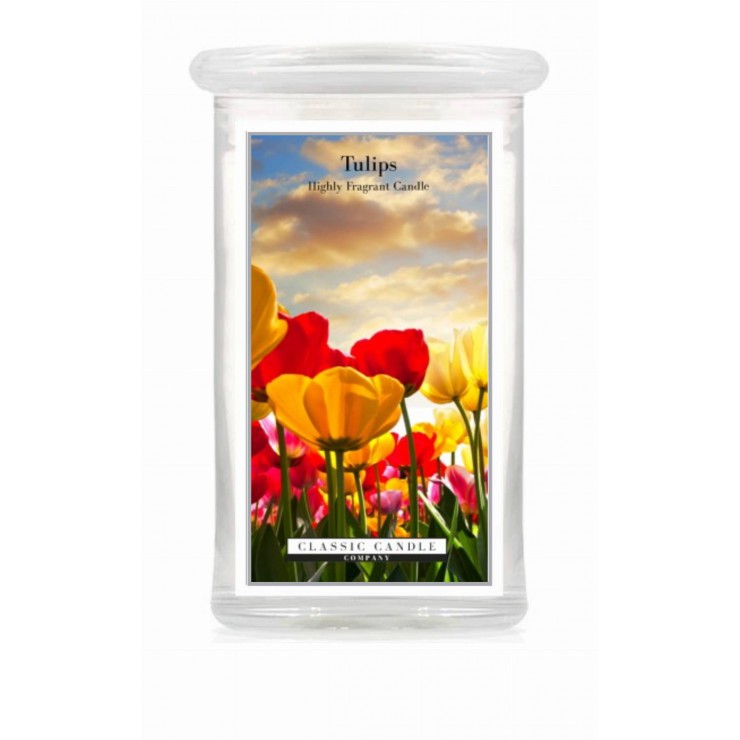 Große Tulpen Classic Kerze