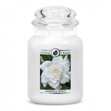Große Gardenia Blütenblätter Goose Creek Kerze