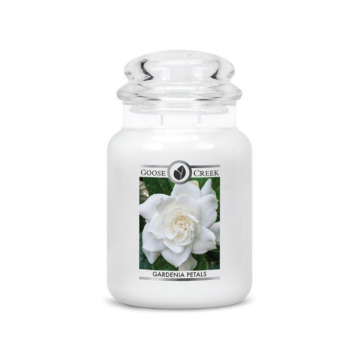 Große Gardenia Blütenblätter Goose Creek Kerze
