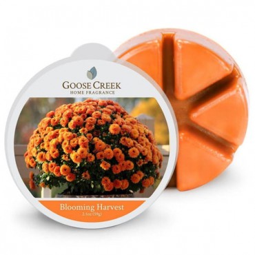 Goose Creek Kerze Blooming Harvest Duftwachs