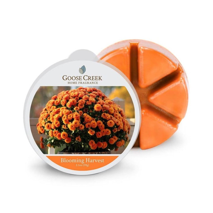 Goose Creek Kerze Blooming Harvest Duftwachs