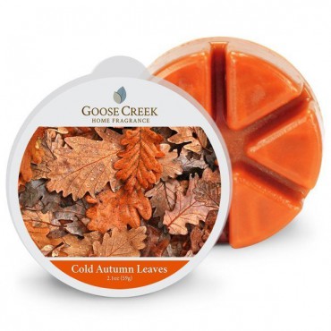 Goose Creek Candle Cold Autumn Leaves Duftwachs