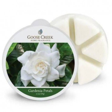 Gardenia Petals Goose Creek Kerze Parfüm Wachs