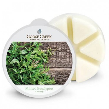 Minted Eukalyptus Duftwachs von Goose Creek Candle