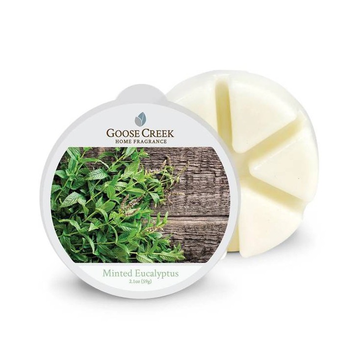 Minted Eukalyptus Duftwachs von Goose Creek Candle