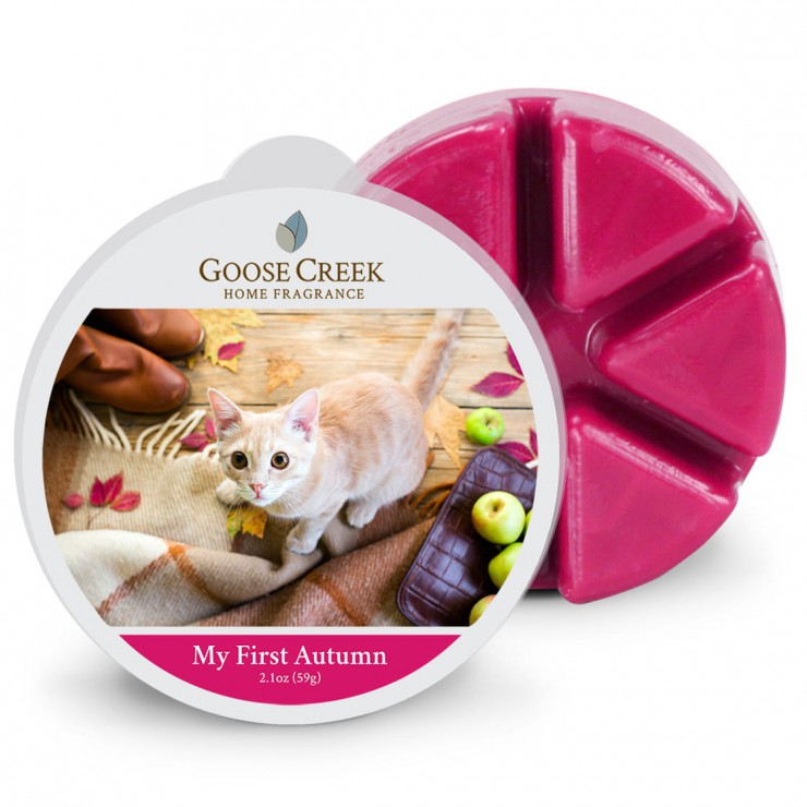 My First Autumn Goose Creek Candle Duftwachs
