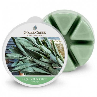 Salbeiblatt & Zitrusfrüchte Duftwachs von Goose Creek Candle