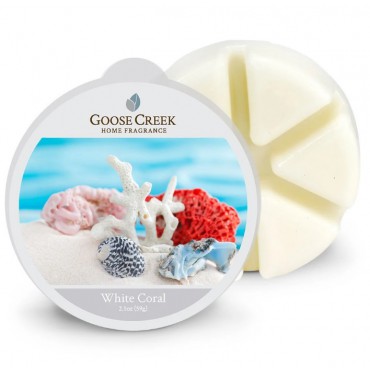 White Coral Goose Creek Kerze Duft Wachs