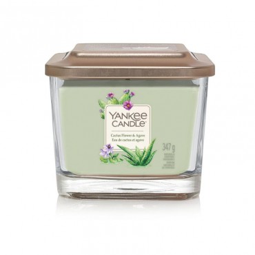 Elevation mittelgroße Cactus Flower & Agave Kerze von Yankee Candle