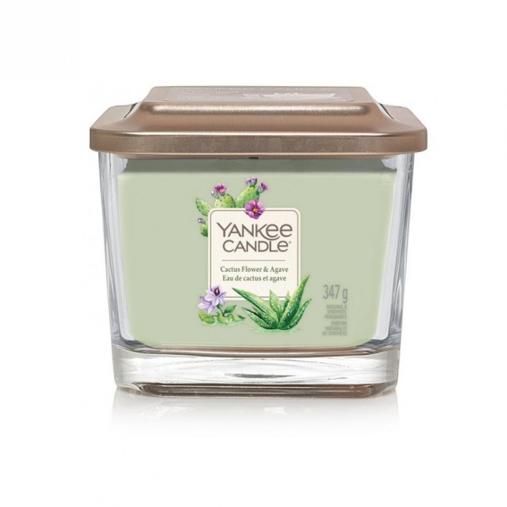 Elevation mittelgroße Cactus Flower & Agave Kerze von Yankee Candle