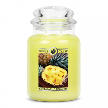 Große berauschende Ananas Goose Creek Kerze