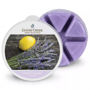 Goose Creek Kerze Citrus Lavendel Duft Wachs