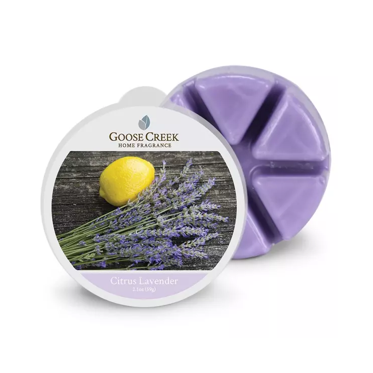 Goose Creek Kerze Citrus Lavendel Duft Wachs