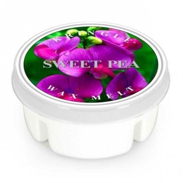Sweet Pea Kringle Kerze Wachs