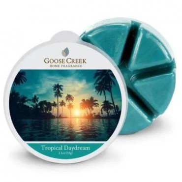Tropical Daydreams Duftwachs von Goose Creek Candle