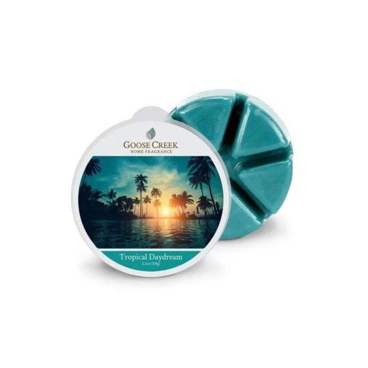 Tropical Daydreams Duftwachs von Goose Creek Candle
