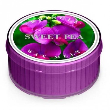 Sweet Pea Kringle Kerze