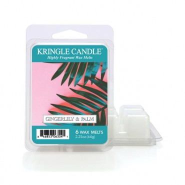 Ingwerlilie & Palm Kringle Kerze Duftwachs