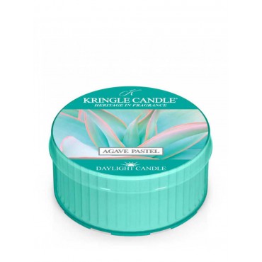 Tageslicht Agave Pastell Kringle Kerze
