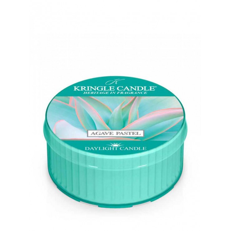 Tageslicht Agave Pastell Kringle Kerze