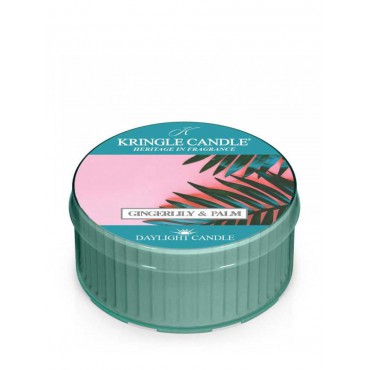 Daylight Gingerlily & Palm Kerze von Kringle Candle