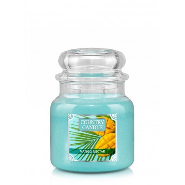 Medium Mango Nektar Land Kerze