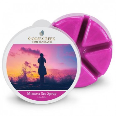 Mimosa Sea Spray Duftwachs von Goose Creek Candle
