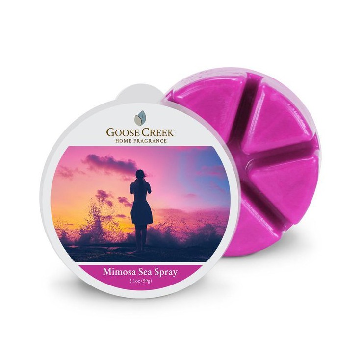 Mimosa Sea Spray Duftwachs von Goose Creek Candle