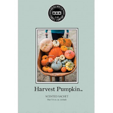 Bridgewater Kerze Harvest Pumpkin Duftbeutel