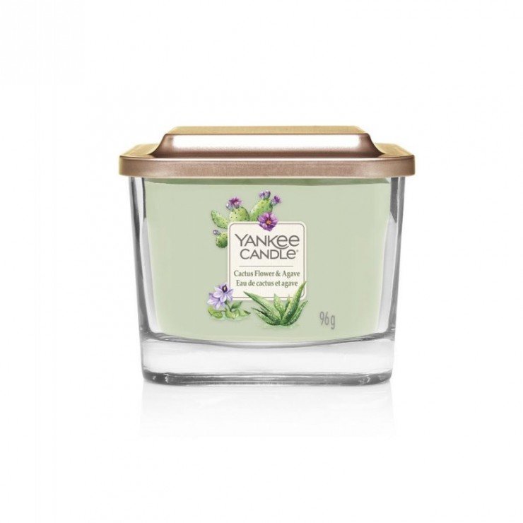 Elevation kleine Kerze Cactus Flower & Agave Yankee Candle