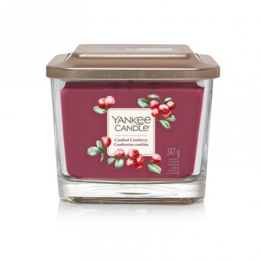 Elevation mittel Candied Cranberry Yankee Kerze