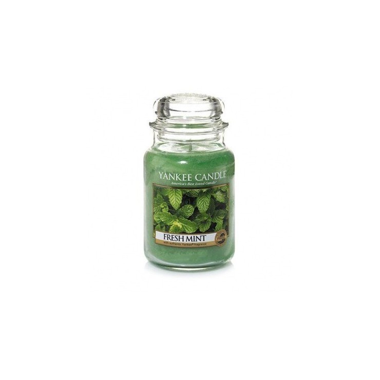 Frische Minze Yankee Candle große Kerze