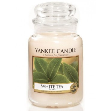 Große White Tea Kerze von Yankee Candle