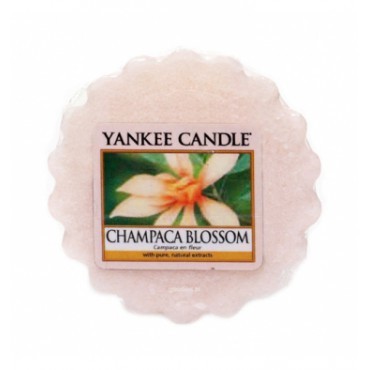 Yankee Kerze Champaca Blossom Wachs