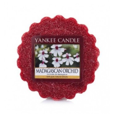 Yankee Kerze Madagaskar Orchidee Wachs