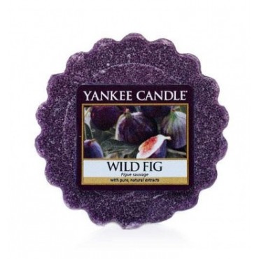 Wildfeigenwachs von Yankee Candle