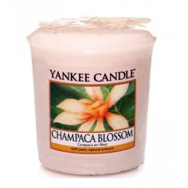 Champaca Blossom Yankee Kerze Sampler
