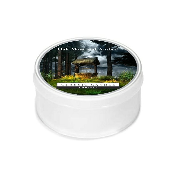 Tageslichtkerze Oak Moss & Amber Classic Kerze