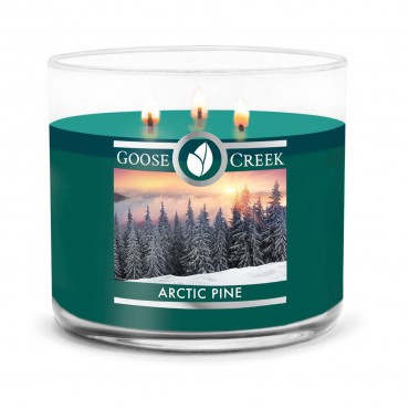 Becher Arktische Kiefer Goose Creek Kerze