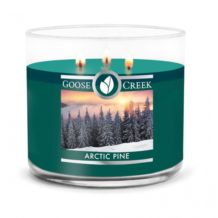 Becher Arktische Kiefer Goose Creek Kerze