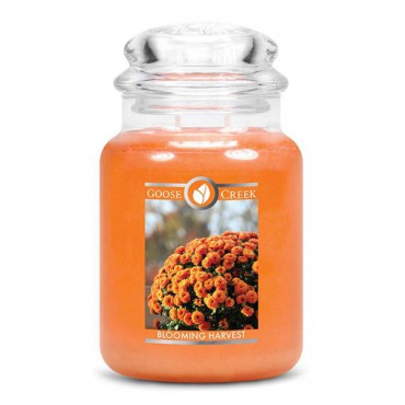 Große Blooming Harvest Goose Creek Kerze