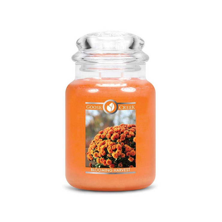 Große Blooming Harvest Goose Creek Kerze