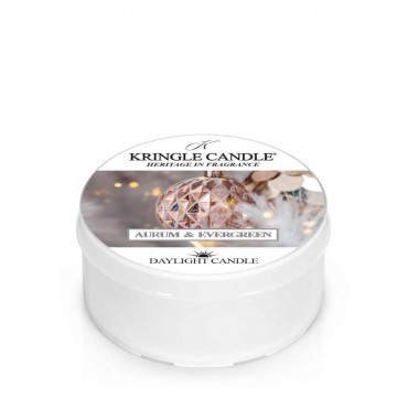 Aurum & Evergreen Tageslicht Kerze von Kringle Candle